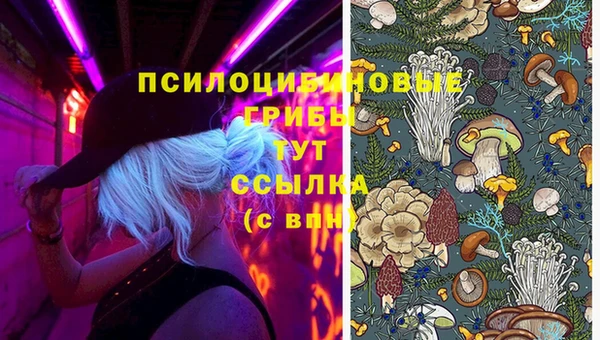 mix Алексин