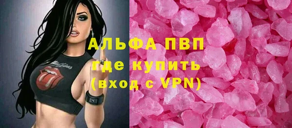 ECSTASY Алзамай