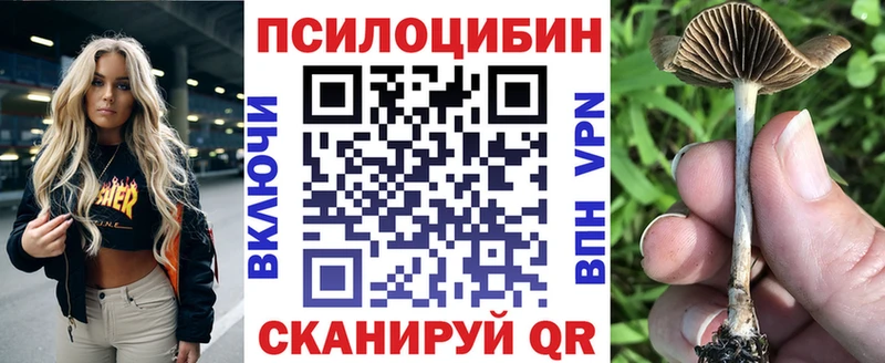 как найти наркотики  Добрянка  Псилоцибиновые грибы мухоморы 